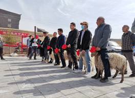 786f20af895d6b498fff1505c2c7424