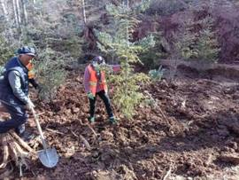 13739a34779063c132b4306889df8e8